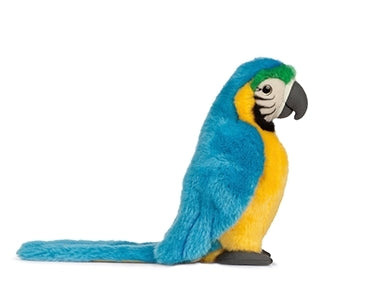 Blue Macaw