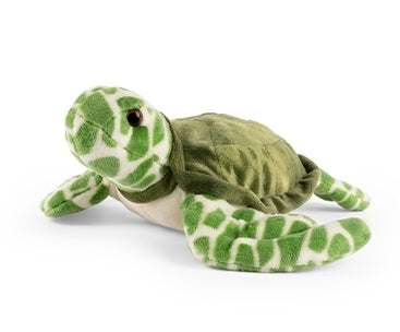 Sea Turtle