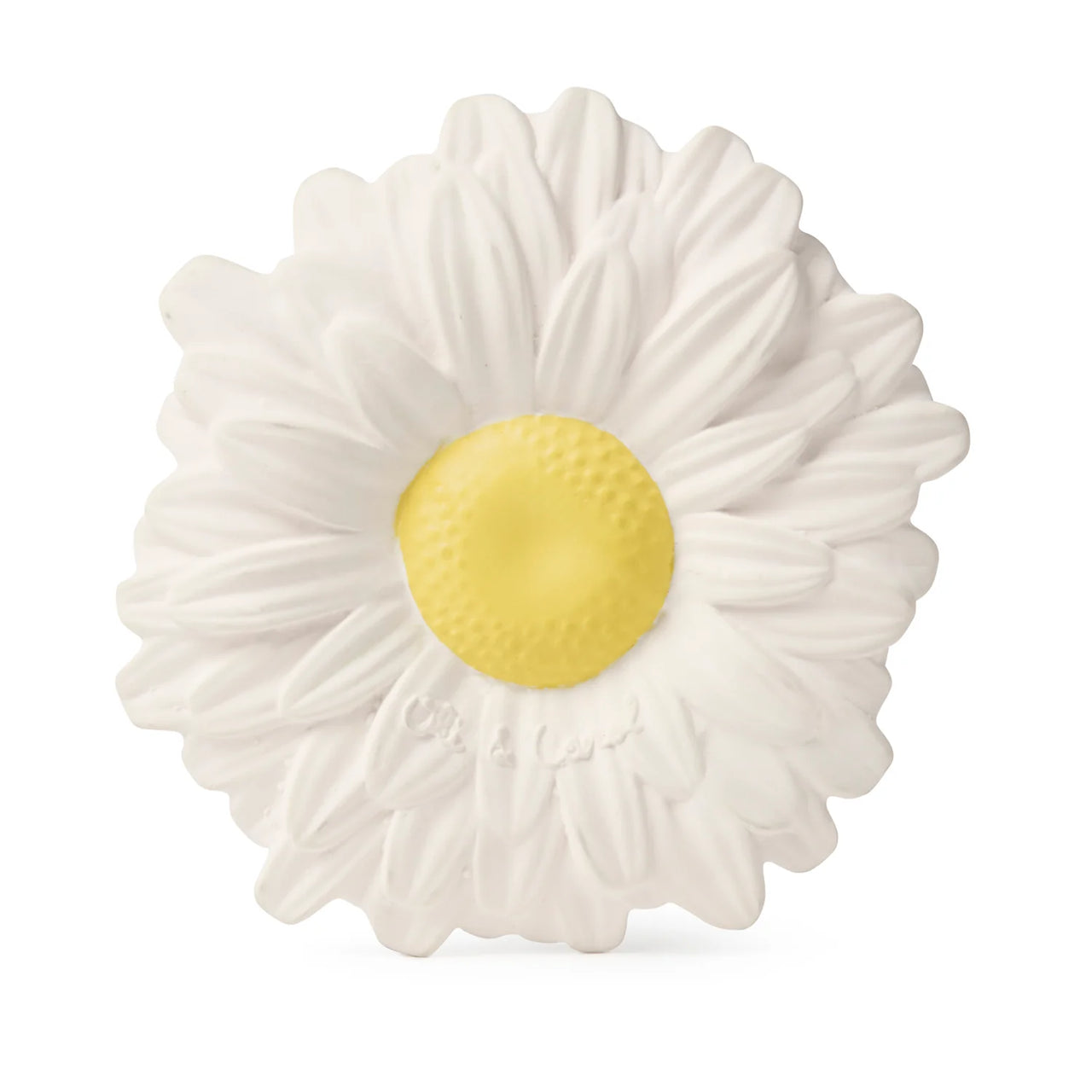 ol-daisy-white_66167b76cd3c3